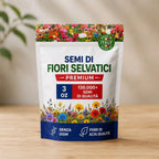 Confezione di Semi di Fiori Selvatici - miraviglianegozio